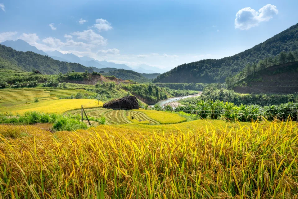 Người bán hàng tại vựa