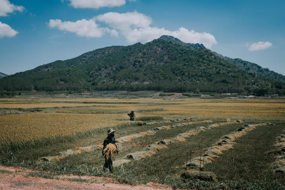 Người bán hàng tại vựa