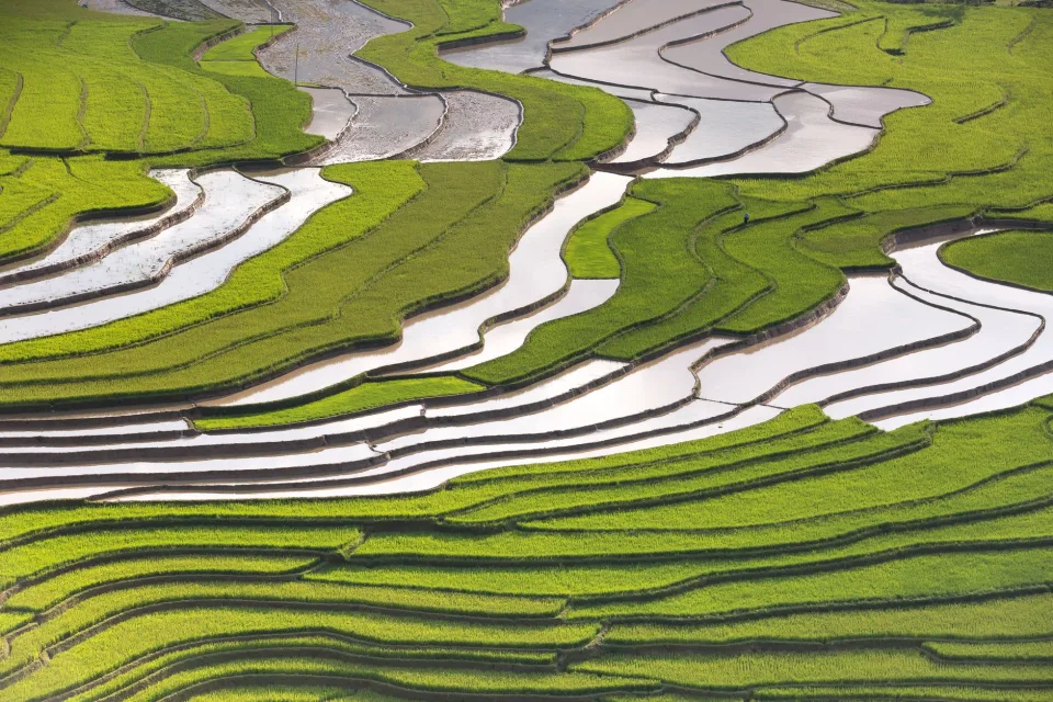 Khu nếp và tấm