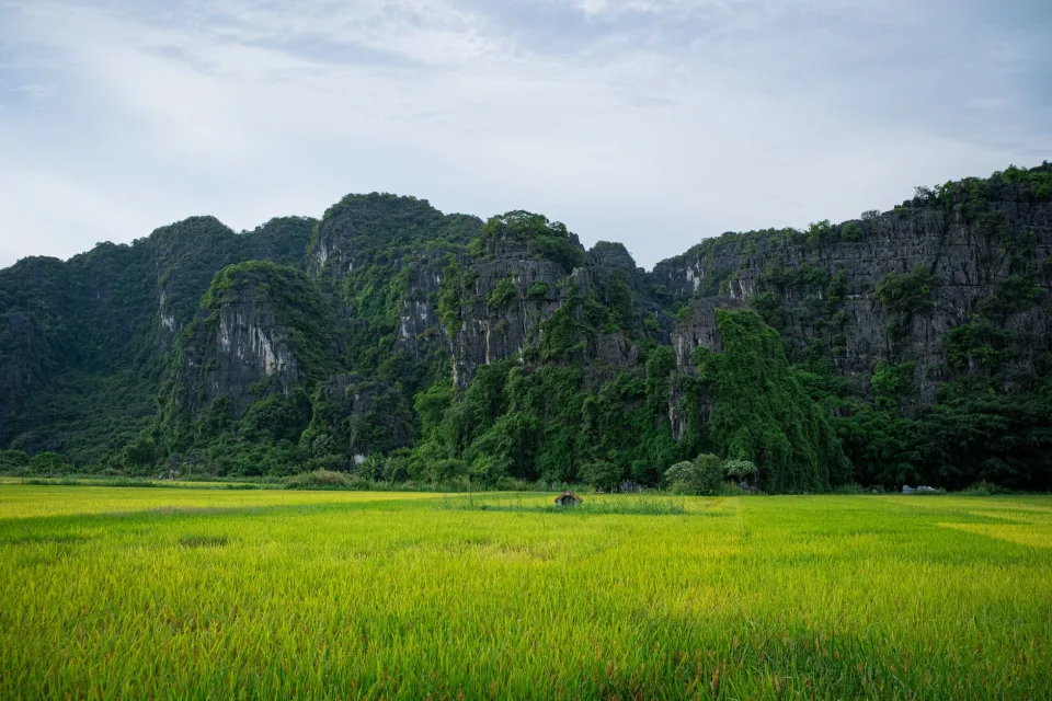 Khu cân và đóng bao