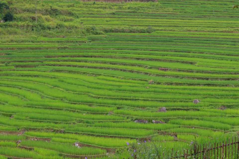 Quầy tính tiền